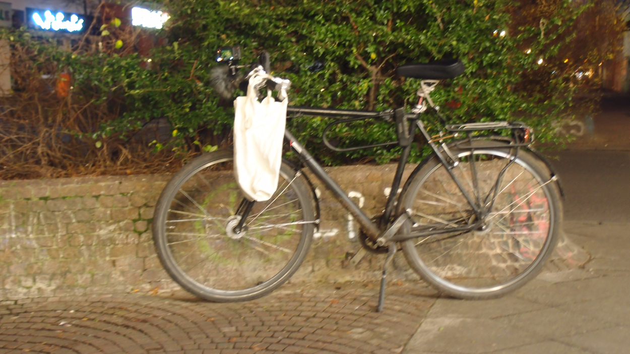 2019-12-11 Spatzen II (Fieldrecording Video)